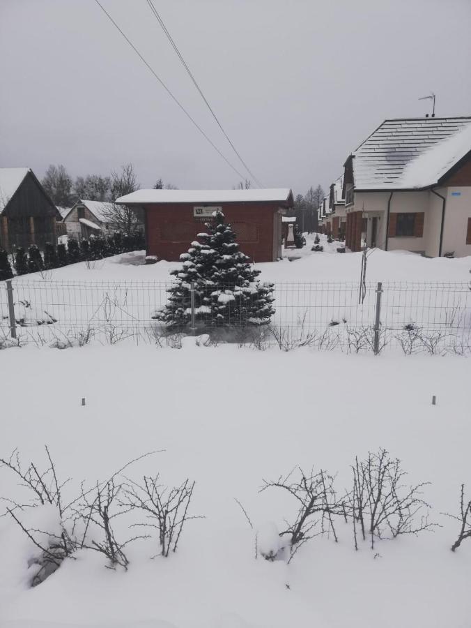 Apartamenty Pod Magnolia Bialowieza Exterior photo